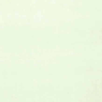 Solid light green color swatch
Gainsborough Velvet Fabric