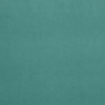 Gainsborough Velvet Fabric -Spray
Velvet Fabric