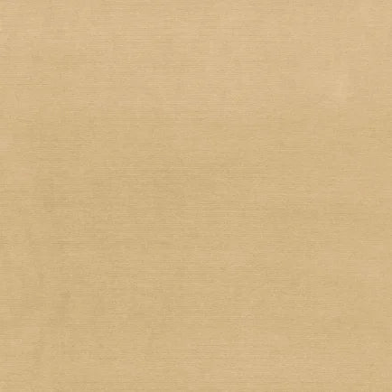Beige fabric texture swatch
Gainsborough Velvet Fabric