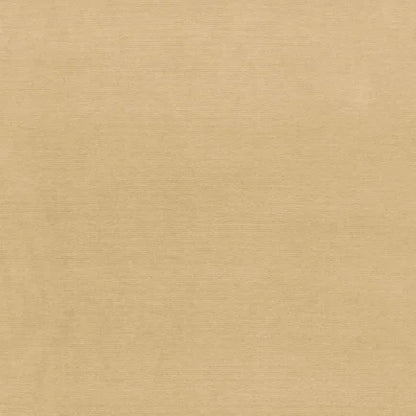 Beige fabric texture swatch
Gainsborough Velvet Fabric