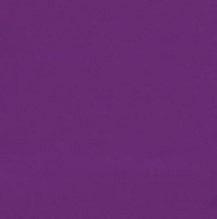 Gainsborough Velvet Fabric -violet
Velvet Fabric