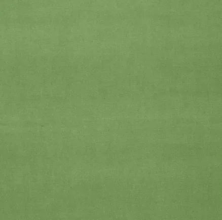 Solid green color swatch with a textured pattern
Gainsborough Velvet Fabric