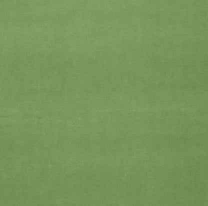 Solid green color swatch with a textured pattern
Gainsborough Velvet Fabric