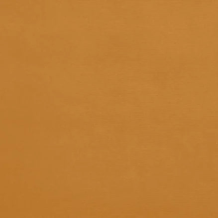 Solid orange color swatch with a subtle texture
Gainsborough Velvet Fabric